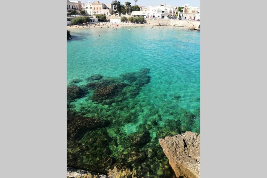 Residence Valentina Int 4 - Rooftop Sea View Infinity Pool サンタ・マリア・アル・バーニョ エクステリア 写真