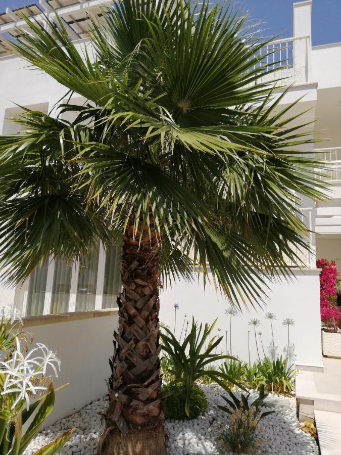 Residence Valentina Int 4 - Rooftop Sea View Infinity Pool サンタ・マリア・アル・バーニョ エクステリア 写真